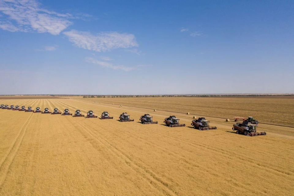 Ставропольские аграрии собрали уже 3,3 миллиона тонн зерновых0