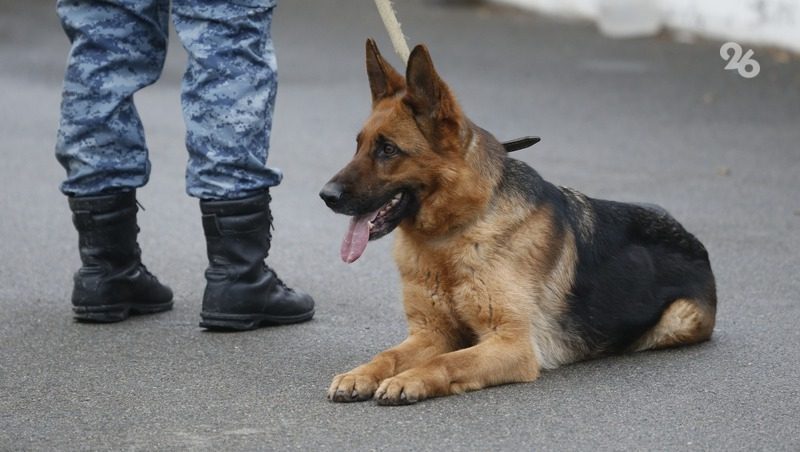 Угроза минирования психбольницы и горсуда поступила в Кисловодске