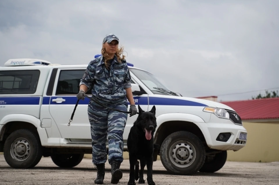 В Предгорном округе Ставрополья сообщили о минировании рынка Лира0