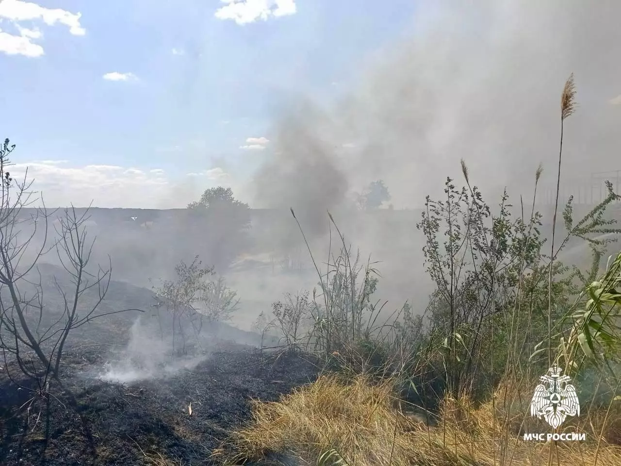 Крупный пожар больше не угрожает частным домам на Ставрополье1