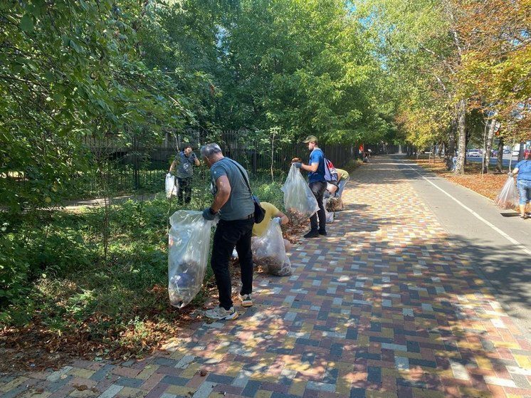 На субботнике в Ставрополе собрали больше 22 тонн мусора