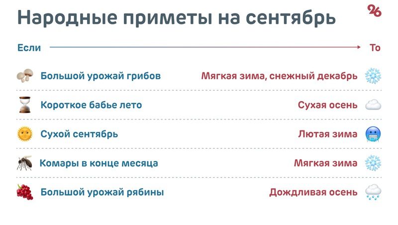 Тёплая и сухая: какой будет осень-2024 на Ставрополье