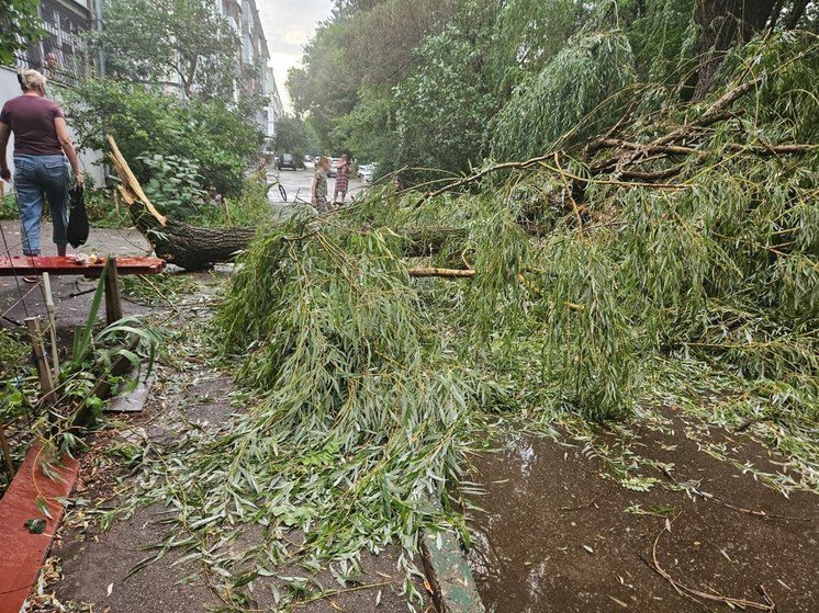 В Ессентуках кратковременная стихия повалила 57 деревьев