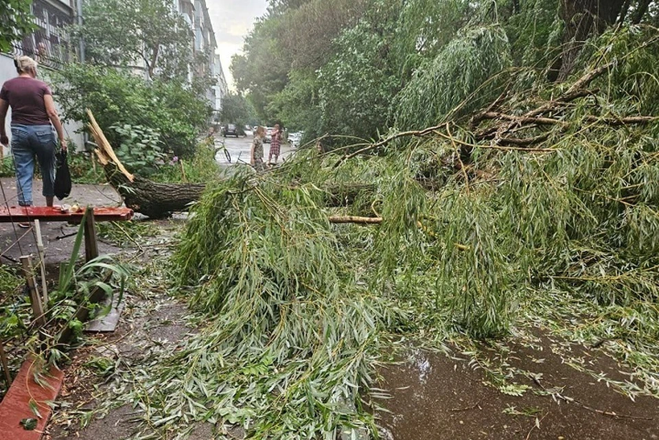 Ветер повалил 57 деревьев в Ессентуках и 10 в Железноводске0