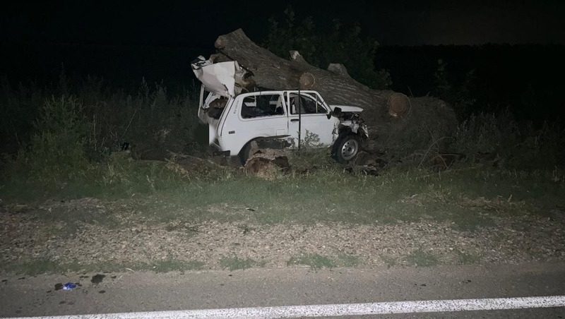 Водитель погиб, врезавшись на автомобиле в дерево в Кочубеевском округе