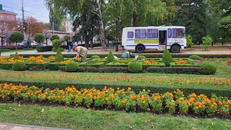 Более 10 тыс. цветов посадят на клумбах Ставрополя ко Дню города