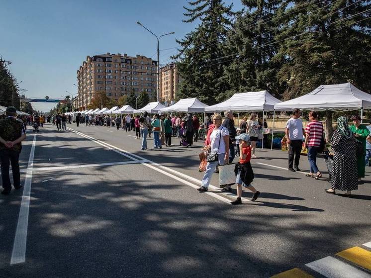 Главные достижения народного хозяйства представили в День республики в Черкесске