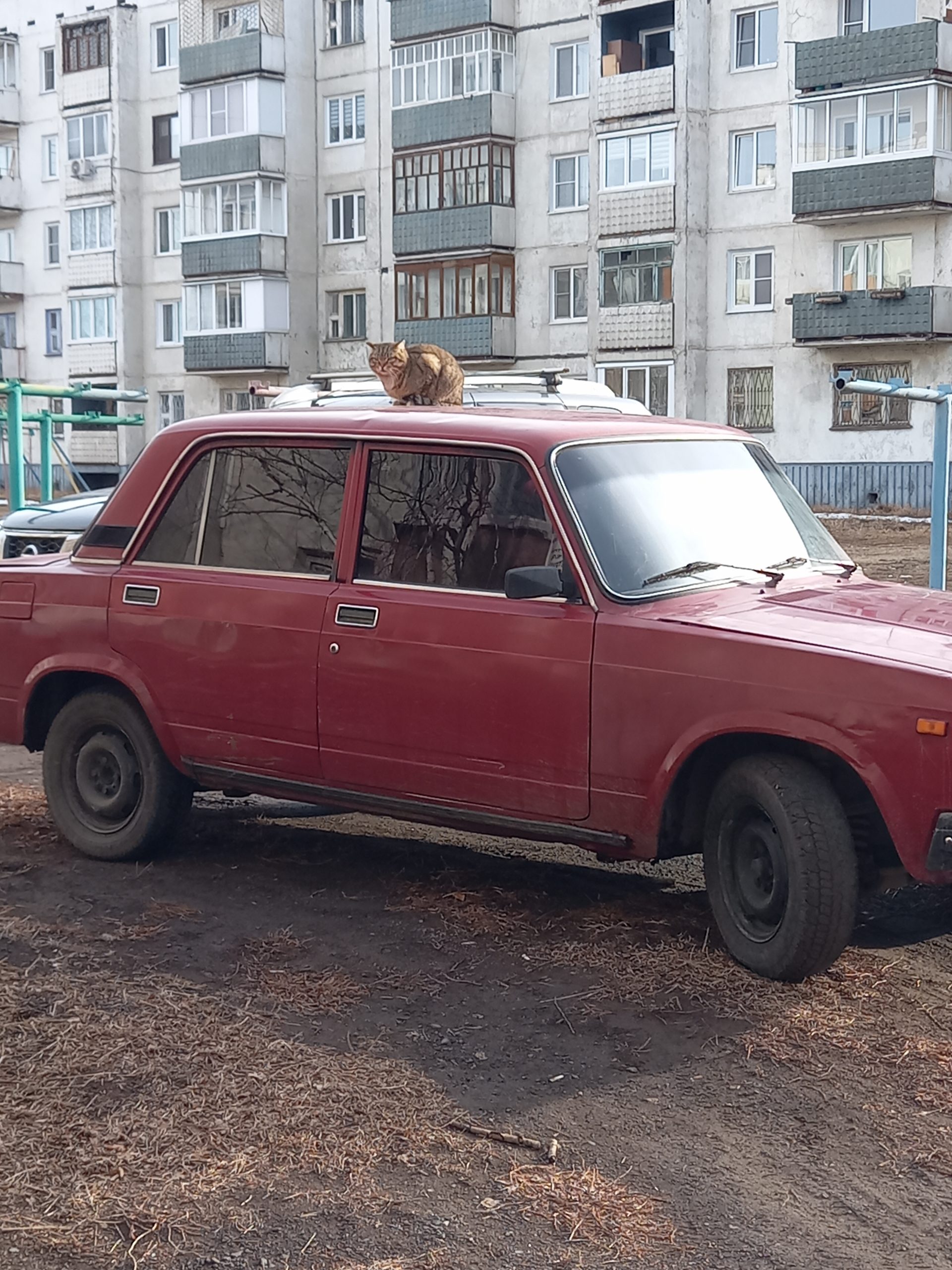 «Не прокатило»: Госдума отклонила законопроект о смягчении требований к тонировке