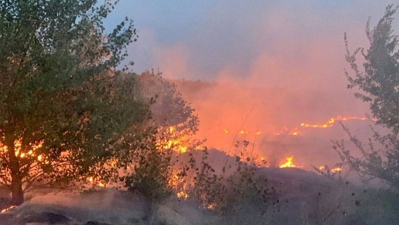 Пожар на поле площадью 10 га ликвидировали на Ставрополье