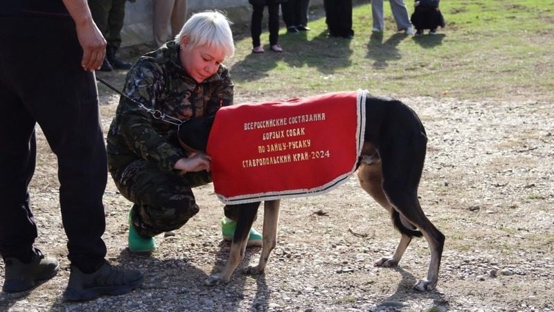 140 собак поучаствовали в состязаниях в Арзгирском округе