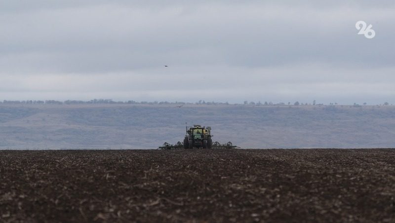 Более 2 млн га озимых посеют аграрии Ставрополья на будущий год