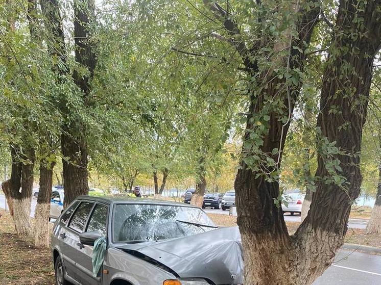 На Ставрополье водитель легковушки не справилась с управлением и влетела в дерево, трое пострадали