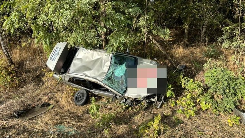 Начинающий водитель попал в больницу после столкновения с деревом на Ставрополье