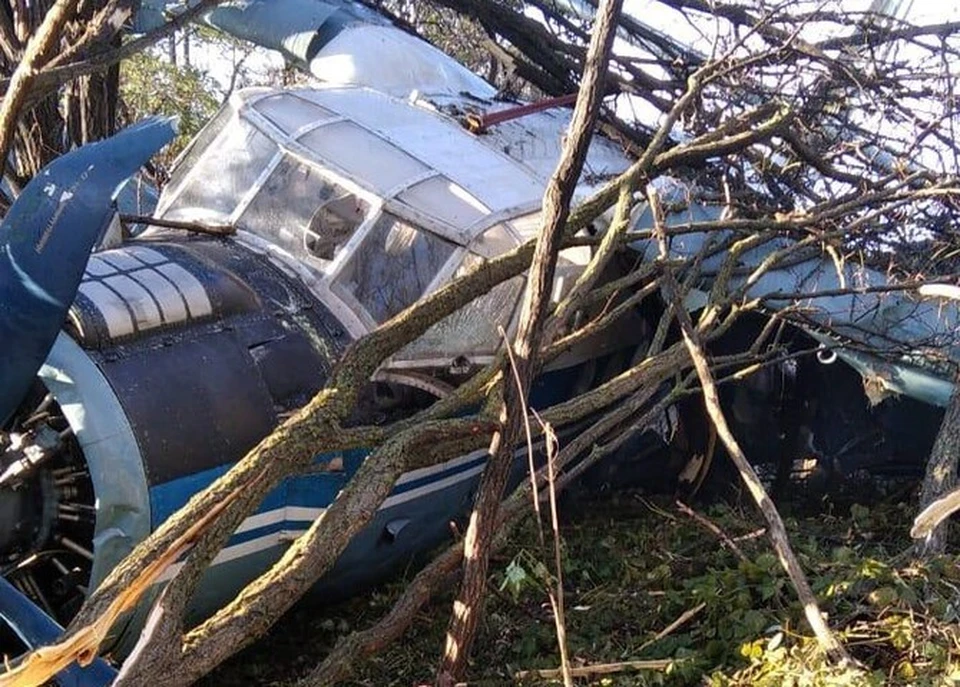 Прокуратура и СКР начали проверку после падения самолета на Ставрополье0