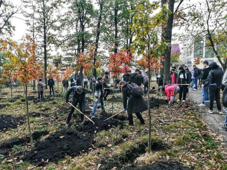 В Дубовой роще Ставрополя высадили 200 молодых саженцев