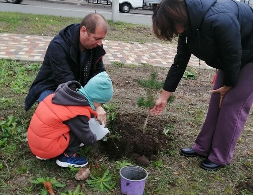 В Ленинском районе Ставрополе высадили более 130 саженцев деревьев0