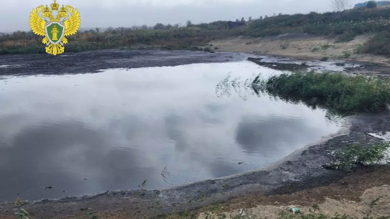 В реке на Ставрополье массово гибнет рыба. Прокуратура и экологи начали проверку2