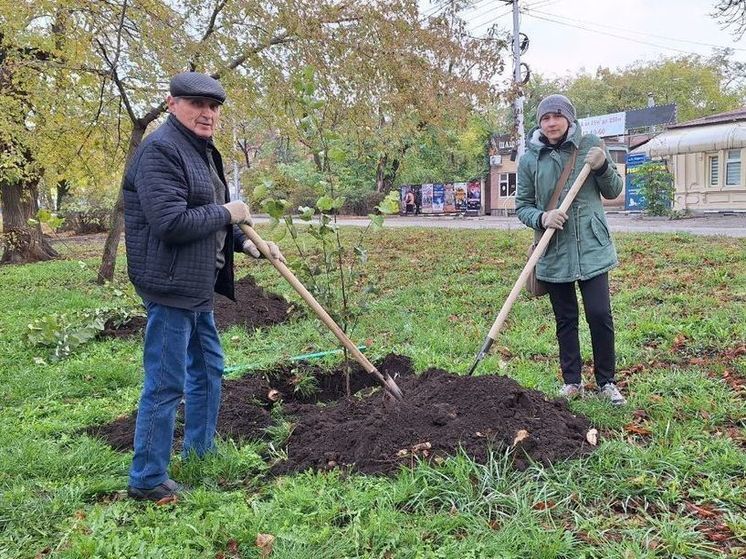 В Ставрополе начались осенние посадки