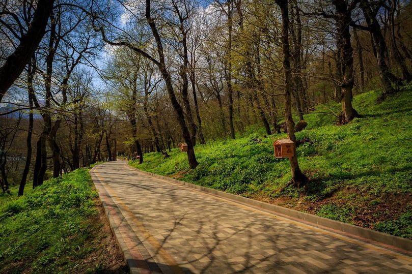 В Железноводске появятся брендированные урны  Ставрополь (Кавказ)1