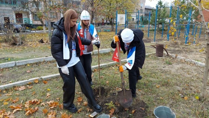 Более 350 деревьев со Ставрополья высадили в Антраците