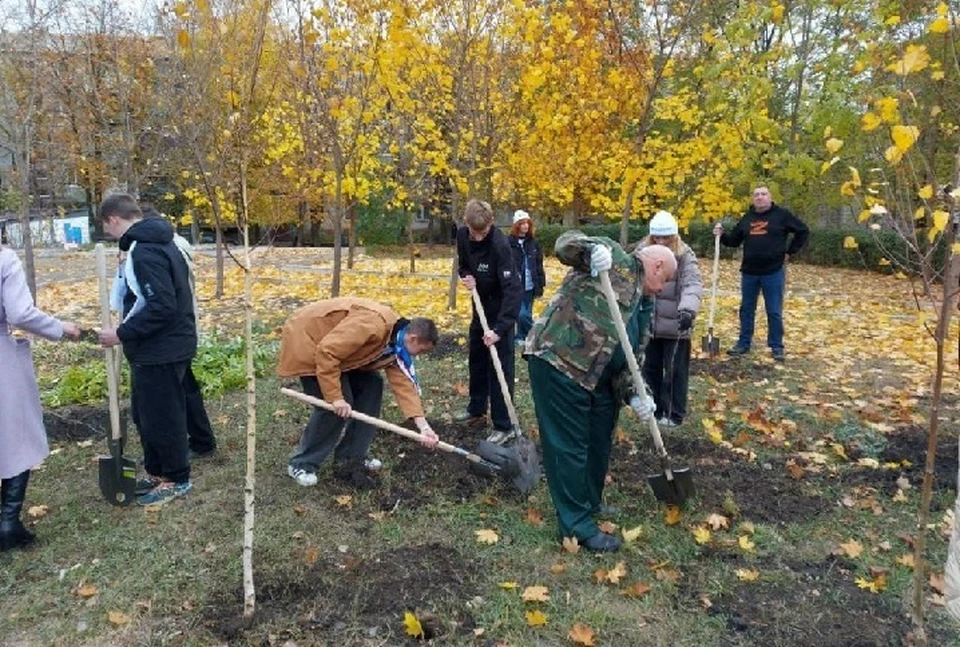 Более 350 саженцев деревьев со Ставрополья высадили в ЛНР0