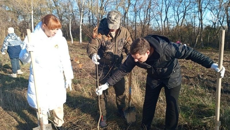 Более 90 саженцев берёз и дубов высадили в дендрарии Михайловска