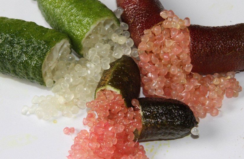 Какой цитрус самый калорийный, а какой стал основой легендарного чайного купажа12