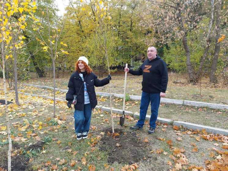 В Антраците высадили 352 дерева — это «зелёный подарок» от губернатора края Владимира Владимирова.