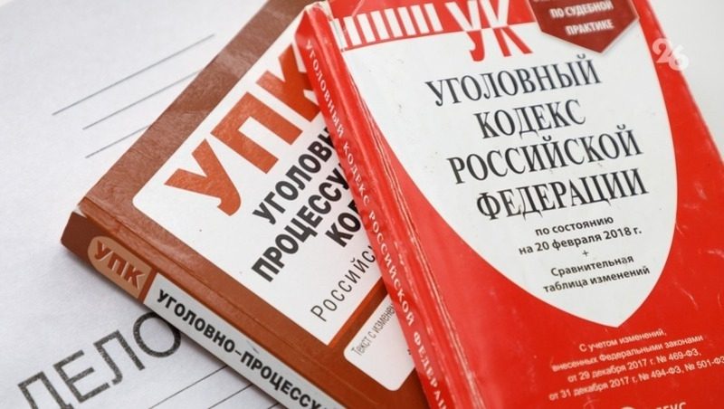 Ставрополец, забивший домашнюю собаку на глазах у сына, пойдёт под суд