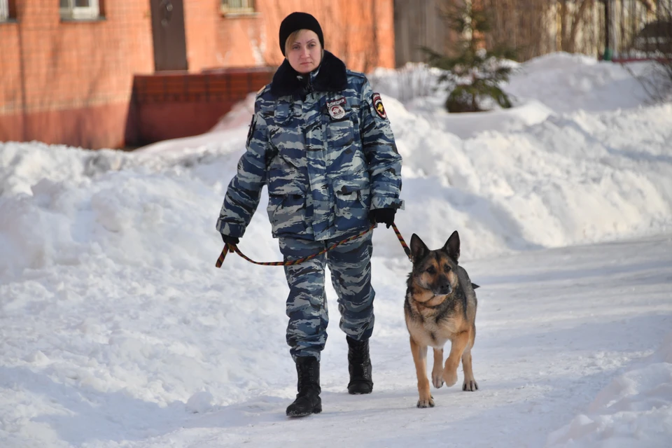 Угроза минирования городской больницы и санатория поступила в Кисловодске0