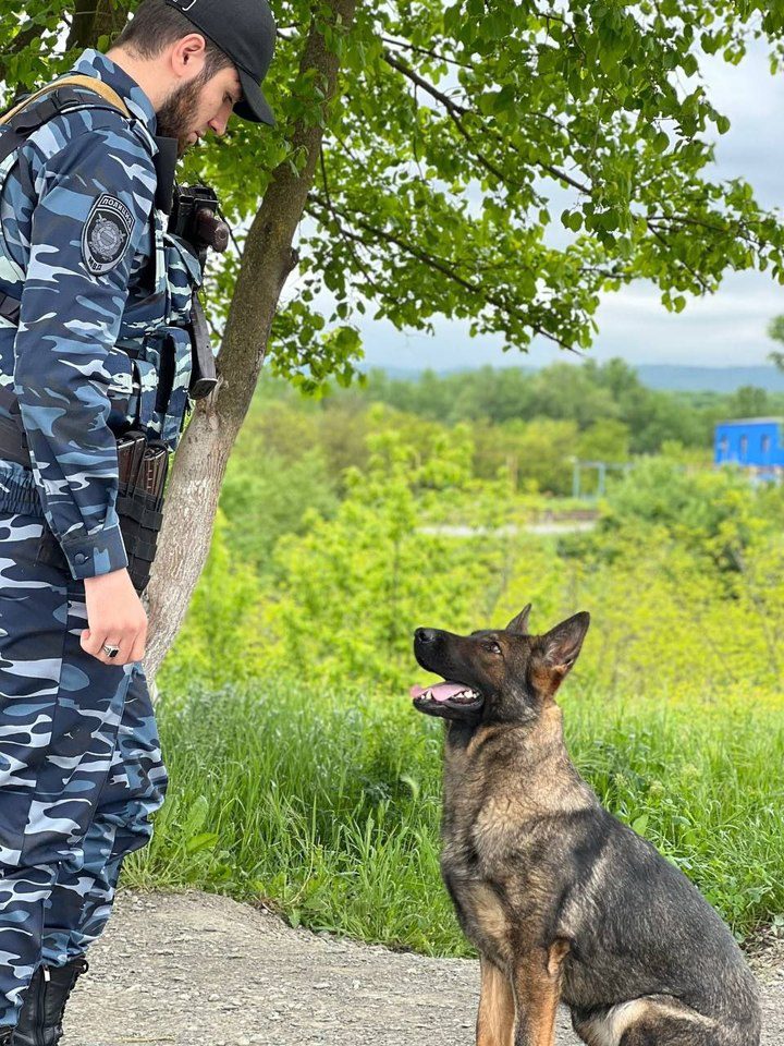 В Ингушетии охранник школы прятал на работе пакет с наркотиками  Ставрополь (Кавказ)1