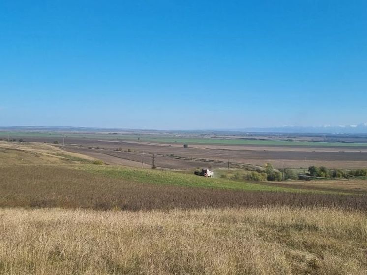 В Северной Осетии  возрождают производство промышленной конопли