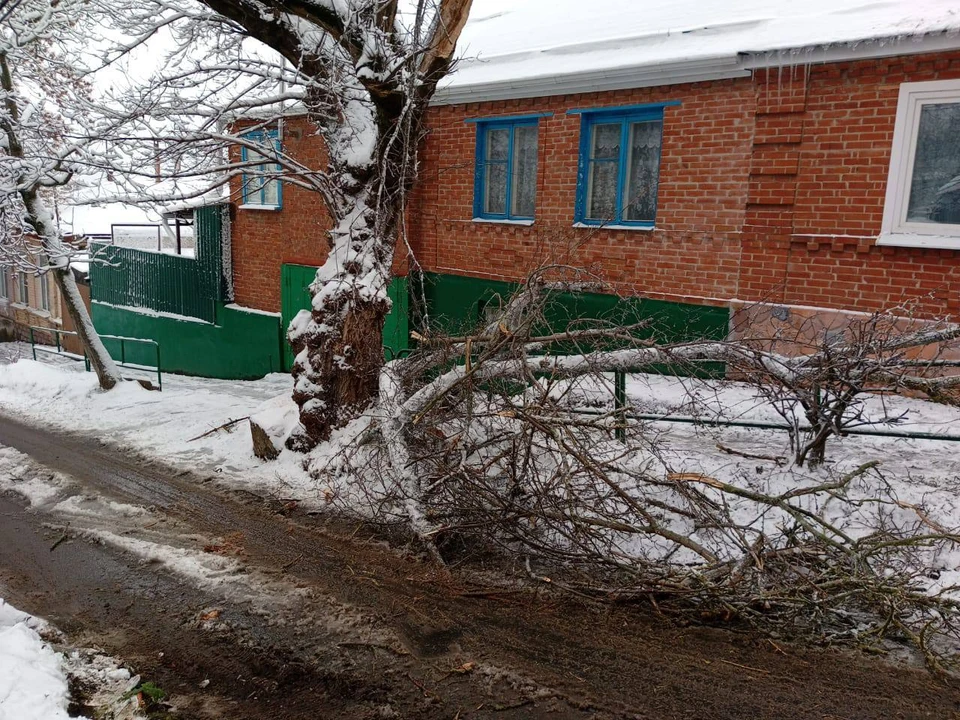 За сутки спасатели Ставрополья пять раз выезжали на распил упавших деревьев0