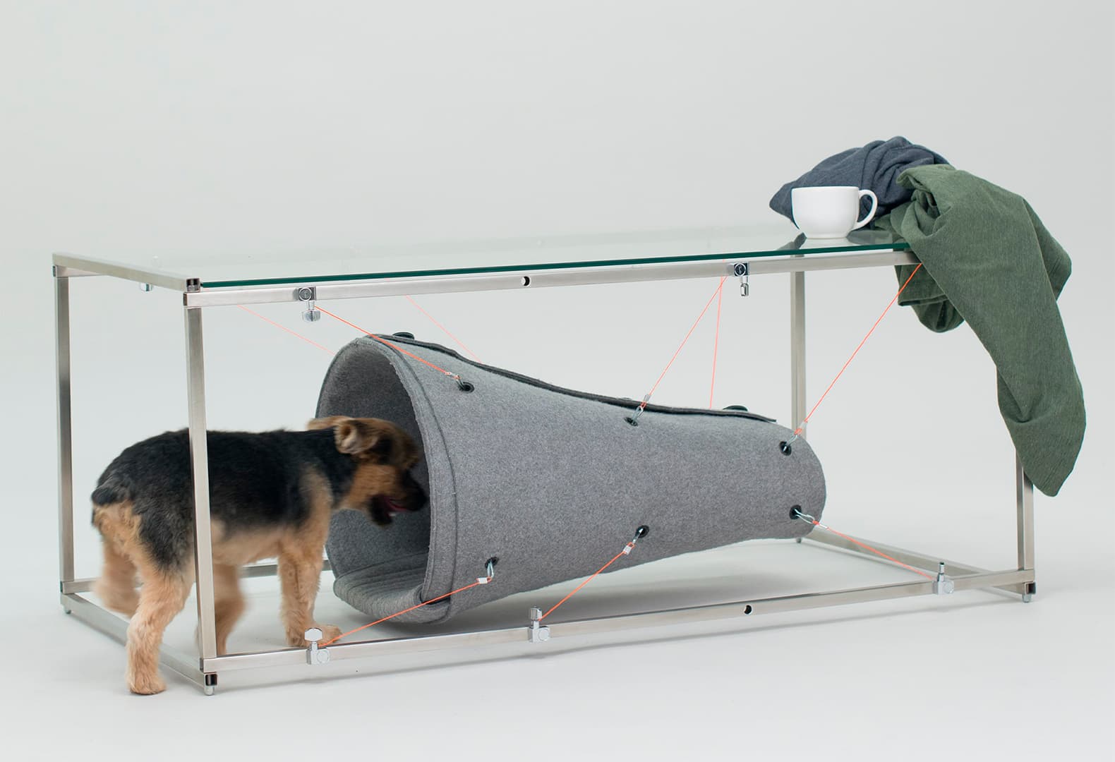 Architecture for Dogs