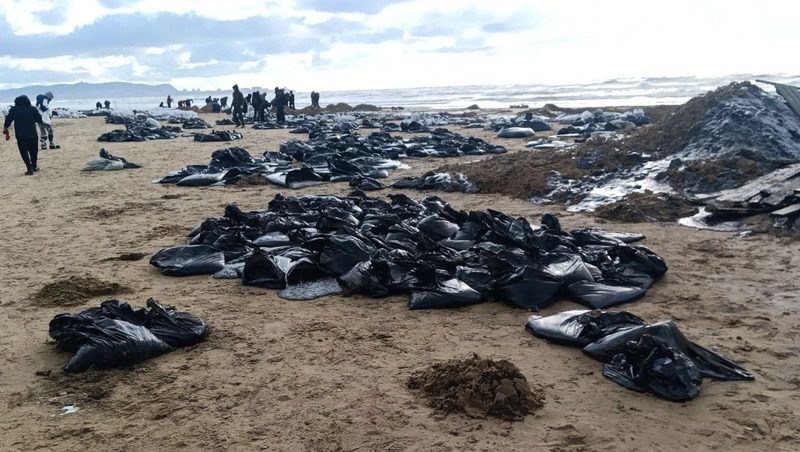 Экоактивист из Ставрополя помогает ликвидировать разлив мазута в Анапе