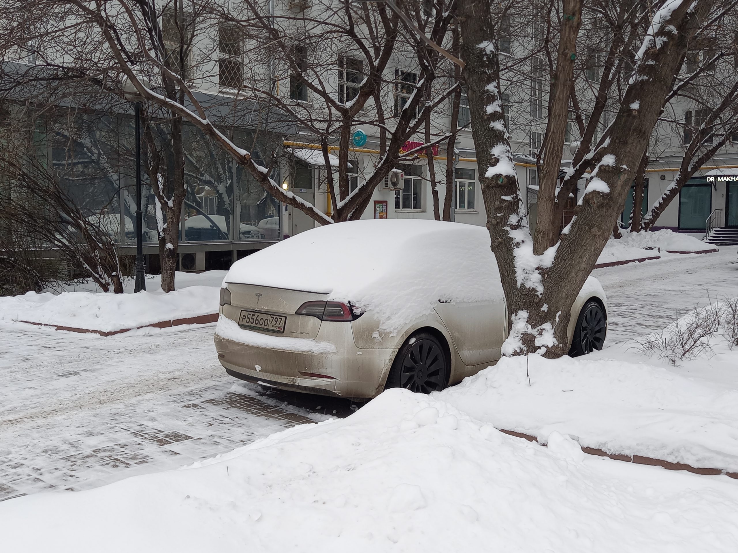 Какие автомобили отзывали в 2024 году чаще всего? Tesla стала самой проблемной