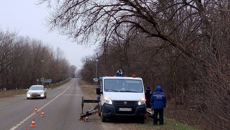 Нависшие над ставропольской трассой ветви обрезали после обращения в «Победу26»