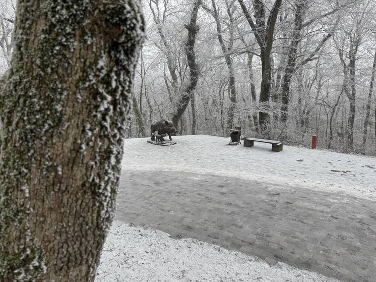 Скульптура кабана на терренкуре в Железноводска перепугала нескольких туристов