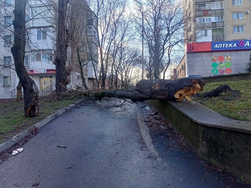 Спасатели продолжают ликвидировать последствия штормового ветра в Ставрополе0