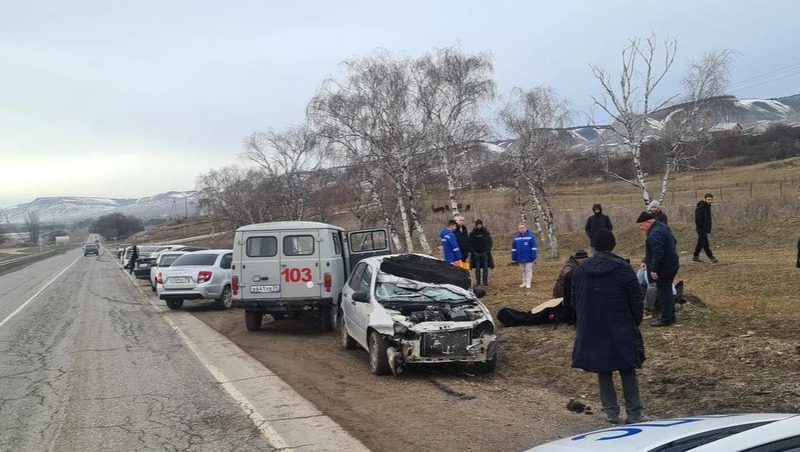 Водитель легковушки наехал на лошадь и погиб в Предгорном округе