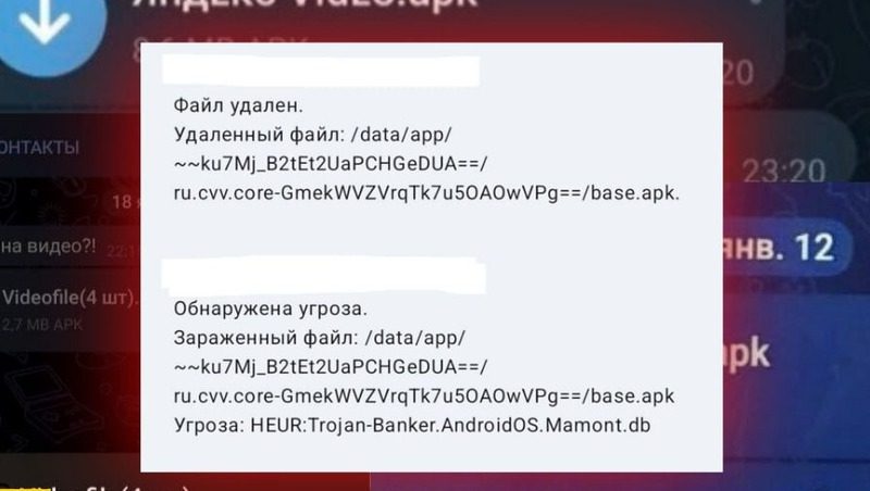 МВД РФ предупреждает ставропольцев о новом вирусе от мошенников