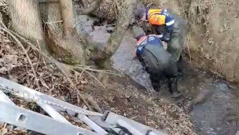 Тело пропавшего пенсионера достали из реки в Предгорном округе