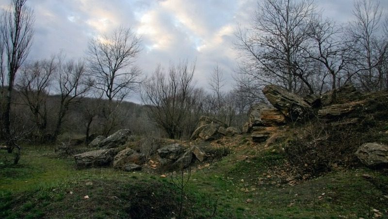 Три ставропольских заповедника отметили юбилей