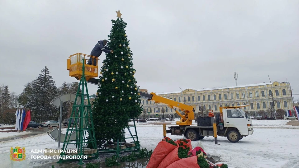 В Ставрополе начали демонтатировать елочный лес на площади Ленина0