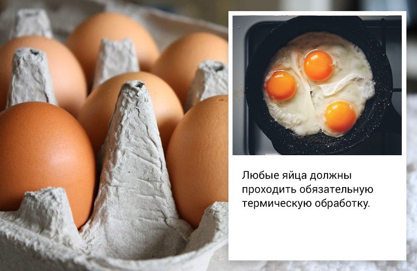 Чем куриные яйца лучше перепелиных и при чём здесь холестерин2