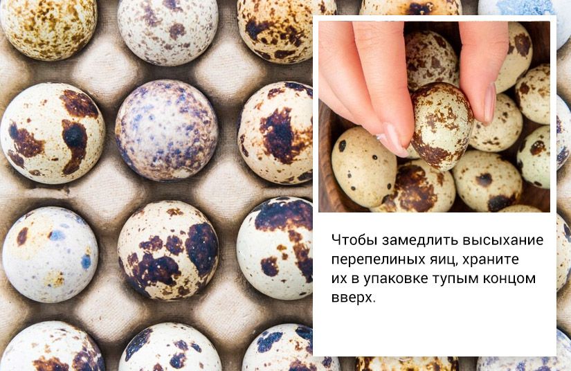 Чем куриные яйца лучше перепелиных и при чём здесь холестерин4