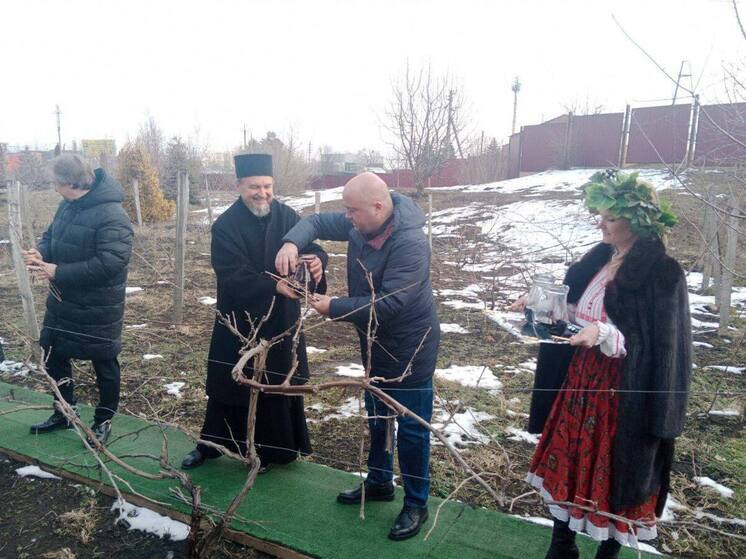 На Ставрополье виноградари отмечают День Святого Трифона