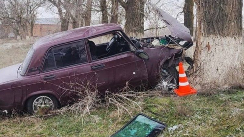 На Ставрополье водитель превысил скорость и вылетел с трассы, протаранив дерево