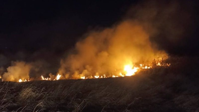 Пожарные потушили 1 тыс. кв. м возгорания травы в Сенгилеевском