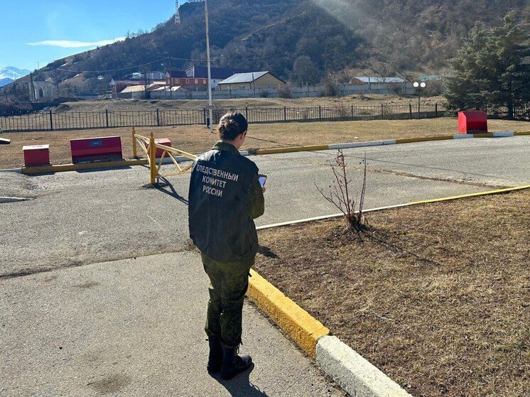 В Карачаевске трое местных жителей напали на полицейских